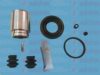 AUTOFREN SEINSA D41602C Repair Kit, brake caliper